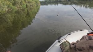 🎣РЫБАЛКА С ДРУГОМ СПИНИНГ СЕДЬМОЙ АВГУСТ 2025🎣fishing#туризм#природа#ловля#рыбалка#щука#ловлящуки#