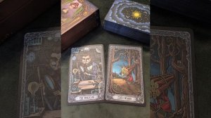 Львы ♌неделя с 17 по 23 ноября.