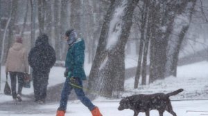 Москвичей предупредили о ледяных дождях 17 ноября