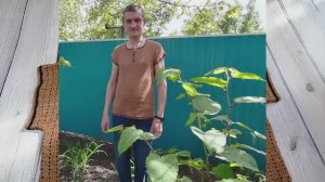 МУЖСКАЯ ФУТБОЛКА КРЮЧКОМ