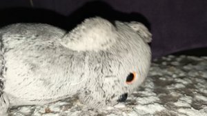 страшилка....😈