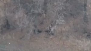 для поздравления якутян всушник выучил русский язык наизусть село Успеновка Зап.