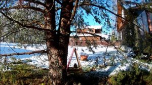 Птицы на кормушке "Вигвам"