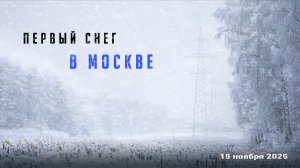 Первый снег в Москве 15 ноября 2025 | Красивые налипания мокрого снега