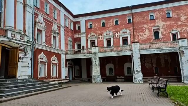 Прогулка у стен музея