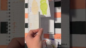 косметичка мир бумажек