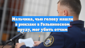 Мальчика, чью голову нашли в рюкзаке в Гольяновском пруду, мог убить отчим