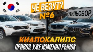 Чё везут из Кореи перед утильсбором? Доминирование KIA кроссоверов