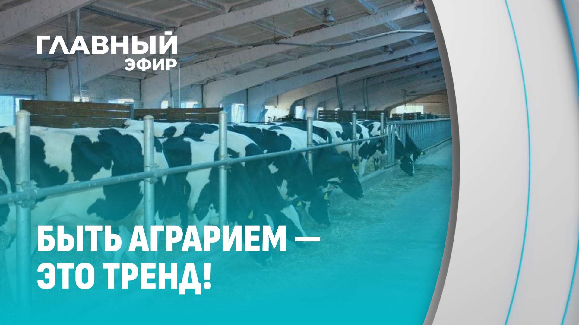 В Беларуси празднуют День работников сельского хозяйства. Главный эфир