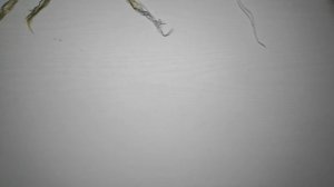 СП "12 месяцев " Отчёт 1/2 Ноябрь 2025