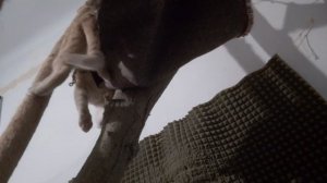 Демурзель с Леманом 😊