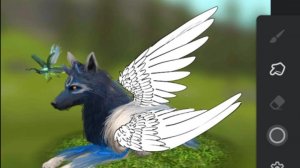 Обработка 2  скинов вилд крафт