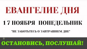 17 ноября Евангелие дня. Почему Христос сказал НЕ ЗАБОТЬТЕСЬ О ЗАВТРАШНЕМ ДНЕ (Лк. 12.13-31)