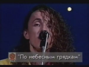 Павел Кашин - По небесным грядкам