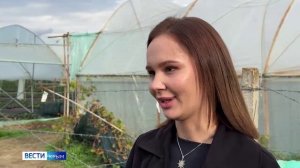 ВЕСТИ КРЫМ «Интервью»: Франко Зенти