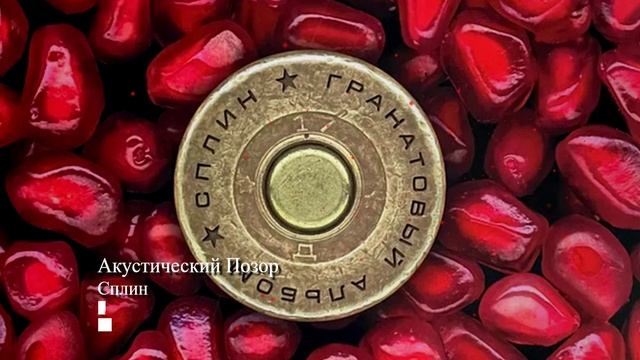 Акустический Позор - Сплин смотреть онлайн