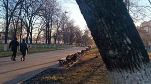 **Просто так, возьму теье и позвоню**Теплый вечер ноября.. А солнце🌝🌞🌞 свои лучи мне дарит....