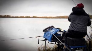 Ловля карася осенью 2025 #fishing #рыбалка #рыбалканафидер
