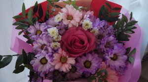 Влог с 11-16.11.25 К зиме готовы.