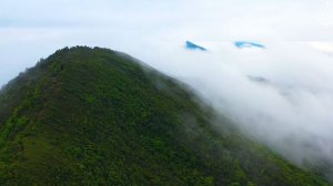 Спокойная расслабляющая музыка для восстановления и отдыха.