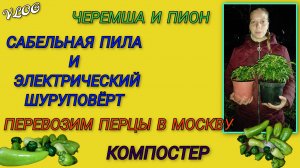 🍒Посадила черемшу и пион/Появился компостер/Спилили сливы/Новый инструмент/Заправляем баллоны газом