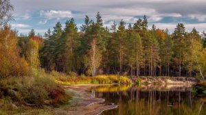 "ПРОЩАЙ, ОСЕНЬ!"... (Фото Андрея АБАКУМОВА (Рязань), музыка - Сергей РУДНЕВ (гитара))