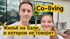 Жильё на Бали, о котором все молчат. Co-living - здесь обитают цифровые кочевники