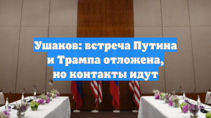 Ушаков: встреча Путина и Трампа отложена, но контакты идут