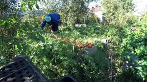 Влог от 23.09.2021