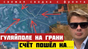 Глубокий прорыв на Гуляйполе. Хитрая перемога Зеленского под Купянском и Покровском. Сводка 16/11