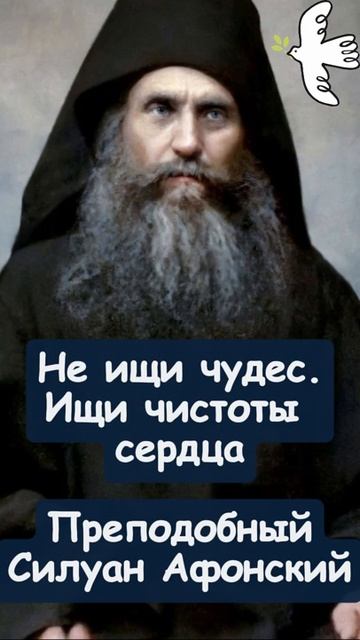 НЕ ИЩИ ЧУДЕС. Преподобный Силуан Афонский #молитва #люди #православныйцарь