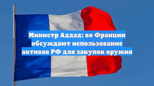 Министр Аддад: во Франции обсуждают использование активов РФ для закупок оружия