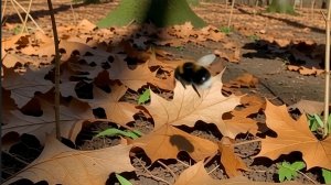 Весна.  В полёте за шмелём со своей тенью! Премьера трека!