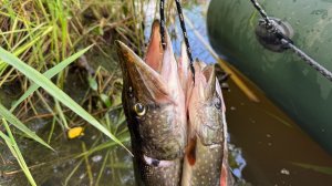 Рыбалка на щуку. Рыбалка на спиннинг. Рыбалка на блесну. Блесна. Щука на блесну.