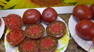 Томат Голова негра - вкусный черноплодный томат со странным названием. №752. Дегустация в 2022 году