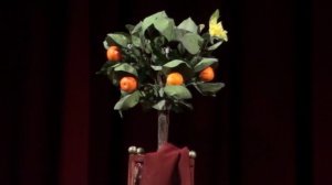 "Апельсиновое дерево". легендарный, ставший классическим, иллюзион.