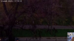 Мариуполь 📽️ Мои любимки 🐈🐈🐈