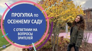 Прогулка по осеннему саду с ответами на вопросы зрителей