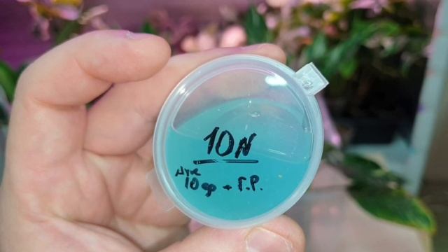 результат применения минерального субстрата в связке с укоренителем смотреть онлайн