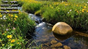 "Слово — серебро, молчание — золото" ( Кавер-версия) - песня