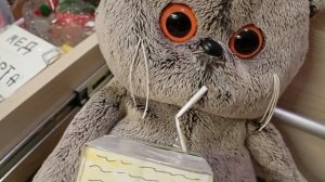 влог с басиком | целый день с нами