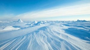 Средства передвижения