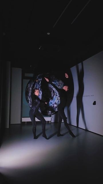 ПЕРФОМАНС МЕТАМОРФОЗЫ  ПОГРУЖЕНИЕ В МОМЕНТ ПЕРЕХОДА