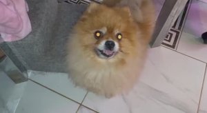 Ранее утро начинаем с вкусненького и все довольны.