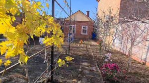 Ейск♥️Смородина едет в Александровку. Работы в огородах на юге...Ремонт в Ейске.