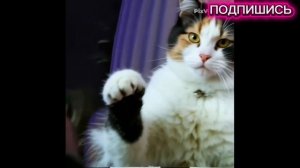 Мой шок в шоке 🤯 🤣