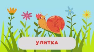 Насекомые для детей 🐝Учим насекомых 🐞 Первые слова для малышей Карточки Домана