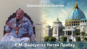 16.11.2025 || Шримад Бхагаватам 11.3.37 || Е.М. Вайкунтха Нитай Прабху