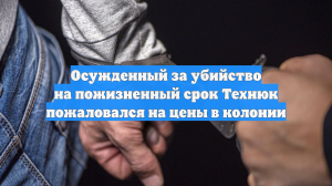 Осужденный за убийство на пожизненный срок Технюк пожаловался на цены в колонии