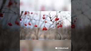 Ноябрьская зарисовка